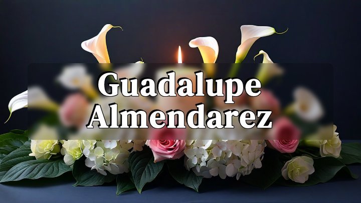 Guadalupe Almendarez, Chicago, Illinois