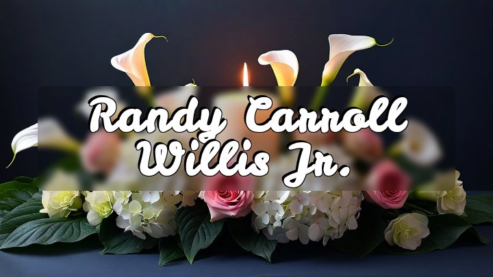 Randy Carroll Willis Jr., Shuford Road, Lincoln County, North Carolina